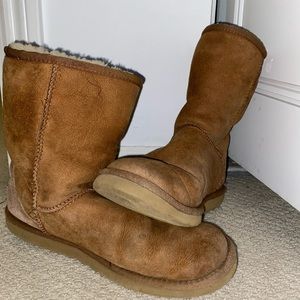 chestnut short ugg boots!